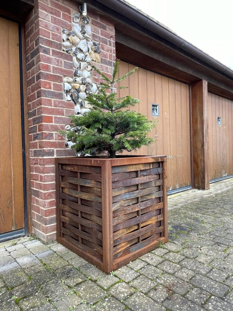 Wooden planter with small tree