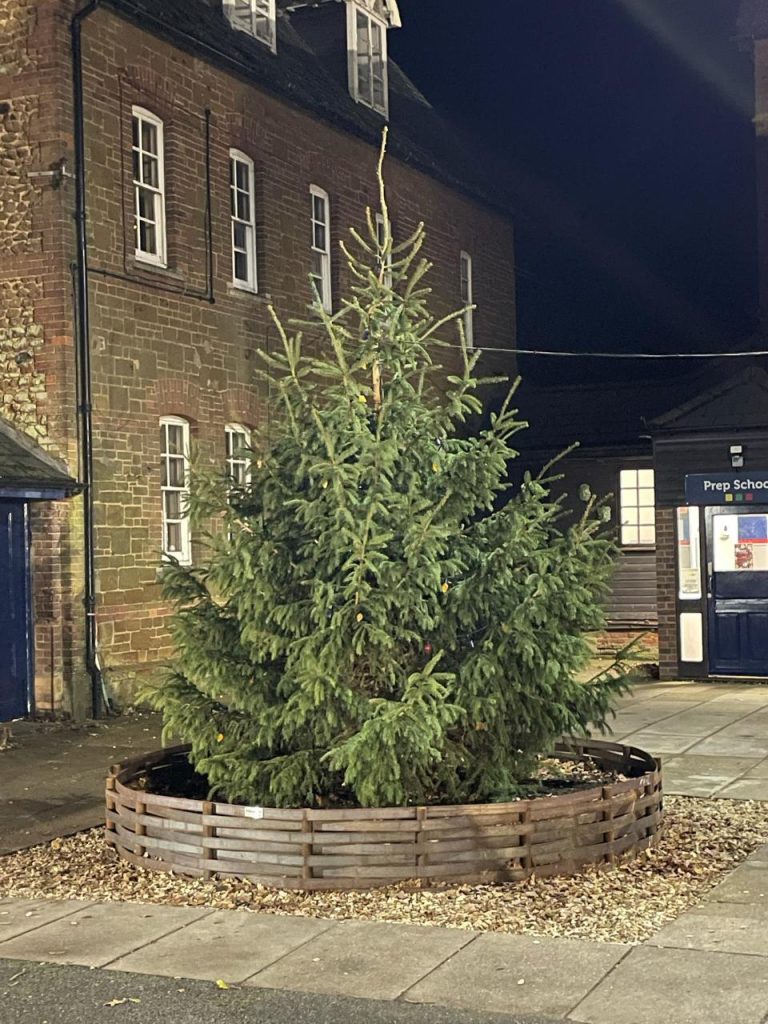 Christmas tree at night